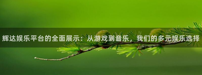 2元网河南二十二选五开奖号码：辉达娱乐平台的全面展示：从游戏到音乐，我们的多元娱乐选择