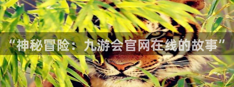 2元网河南二十二选五：“神秘冒险：九游会官网在线的故事”