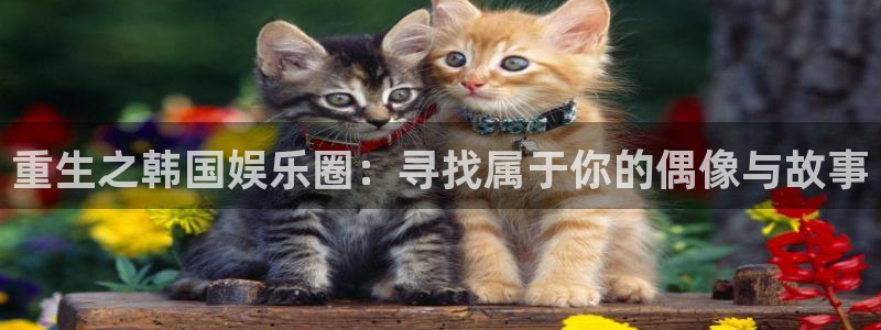 2元彩票官网：重生之韩国娱乐圈：寻找属于你的偶像与故事