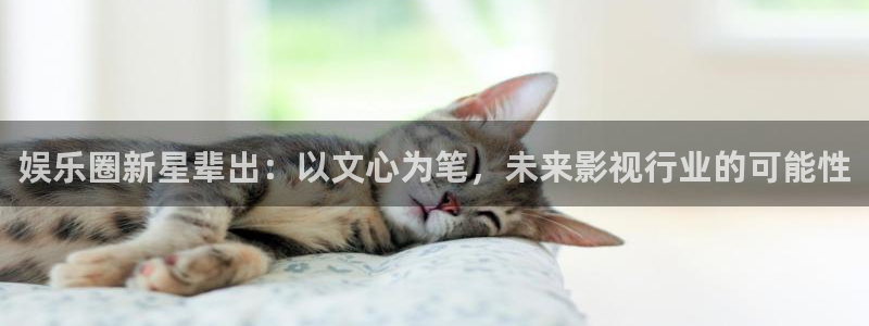 2元网走势图大全：娱乐圈新星辈出：以文心为笔，未来影视行业的可能性