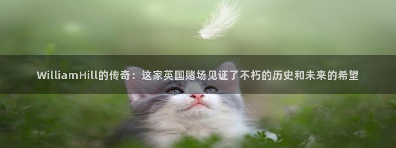 2元网走势图大全：WilliamHill的传奇：这家英国赌场见证了不朽的历史和未来的希望