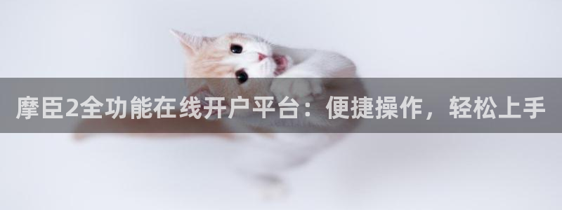 3d和值走势图2元网：摩臣2全功能在线开户平台：便捷操作，轻松上手