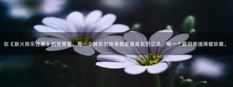 2元网河南二十二选五：在《新火娱乐注册》的世界里，每一个精彩的故事都是最真实的记录，每一个瞬间都值得被珍藏。