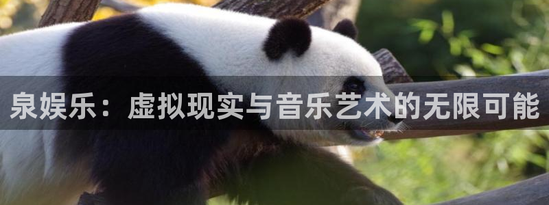 2元网河南二十二：泉娱乐：虚拟现实与音乐艺术的无限可能