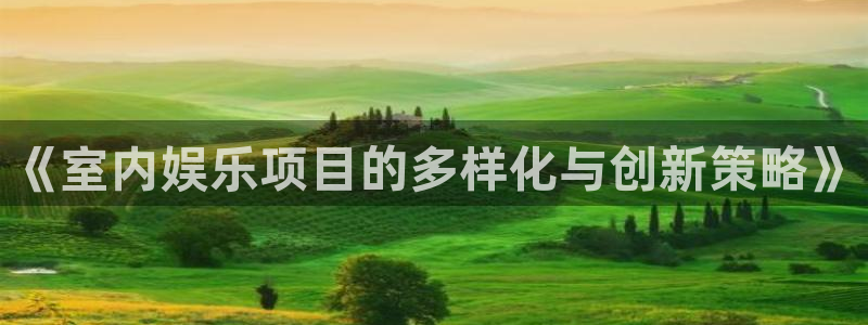 2元彩票官网：《室内娱乐项目的多样化与创新策略》