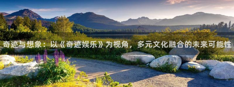 2元网河南二十二选五开奖号码：奇迹与想象：以《奇迹娱乐》为视角，多元文化融合的未来可能性