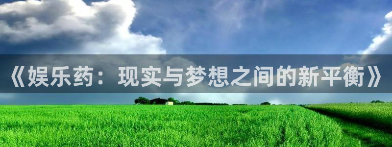 2元网：《娱乐药：现实与梦想之间的新平衡》