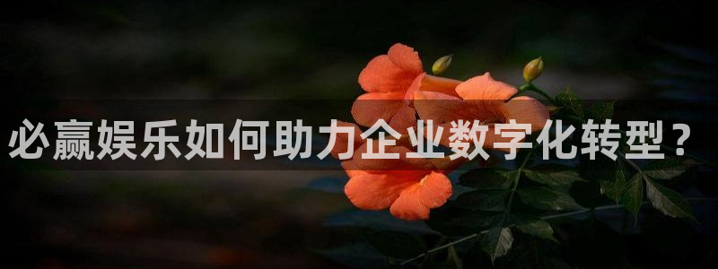 3d和值走势图2元网
