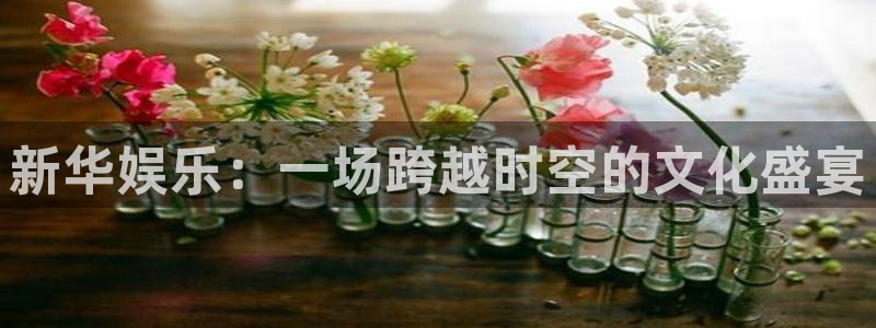 2元彩票官网：新华娱乐：一场跨越时空的文化盛宴