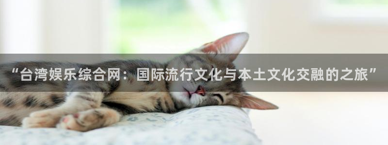 2元网走势图大全：“台湾娱乐综合网：国际流行文化与本土文化交融的之旅”