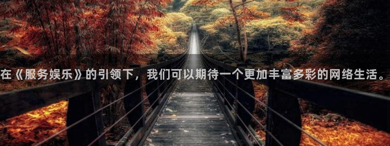 2元网走势图大全：在《服务娱乐》的引领下，我们可以期待一个更加丰富多彩的网络生活。