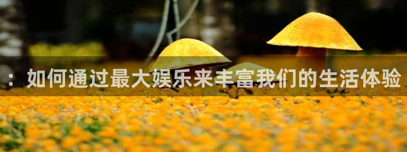 2元网河南二十二选五开奖号码：：如何通过最大娱乐来丰富我们的生活体验