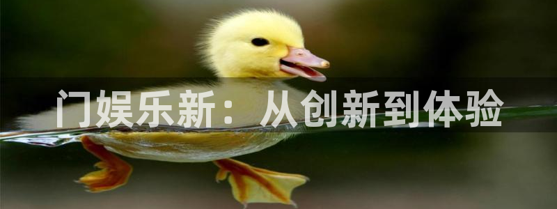 2元网河南二十二选五：门娱乐新：从创新到体验