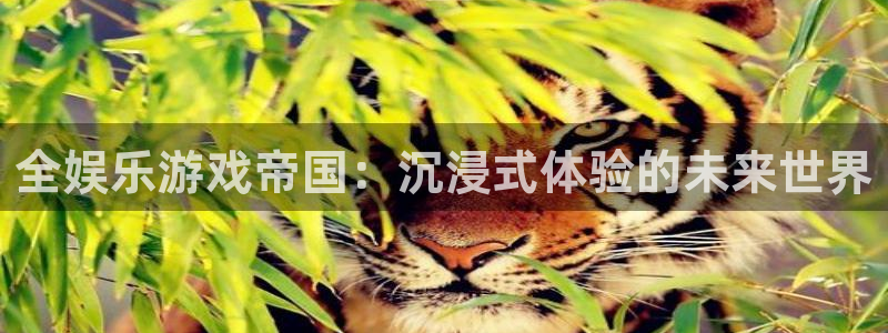 2元网河南二十二选五开奖号码：全娱乐游戏帝国：沉浸式体验的未来世界