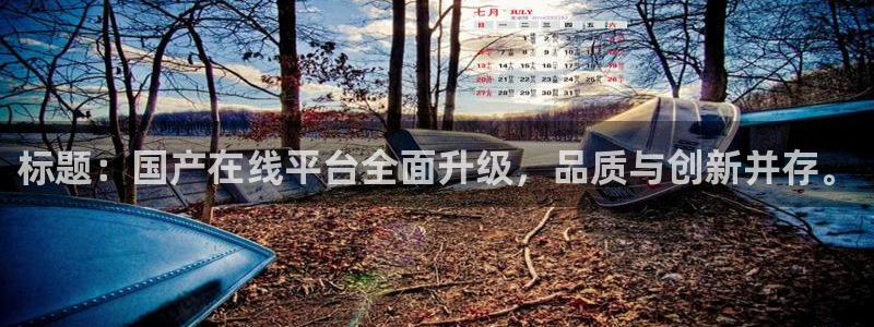 2元网：标题：国产在线平台全面升级，品质与创新并存。