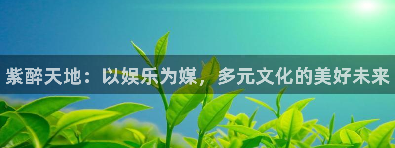 2元网走势图表：紫醉天地：以娱乐为媒，多元文化的美好未来