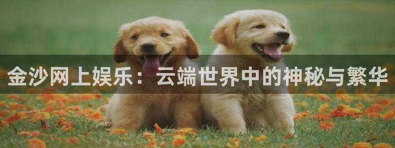 3d和值走势图2元网：金沙网上娱乐：云端世界中的神秘与繁华