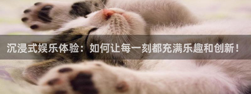 2元网：沉浸式娱乐体验：如何让每一刻都充满乐趣和创新！