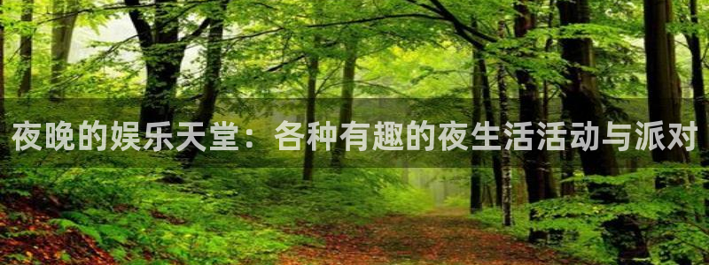 2元网走势图大全