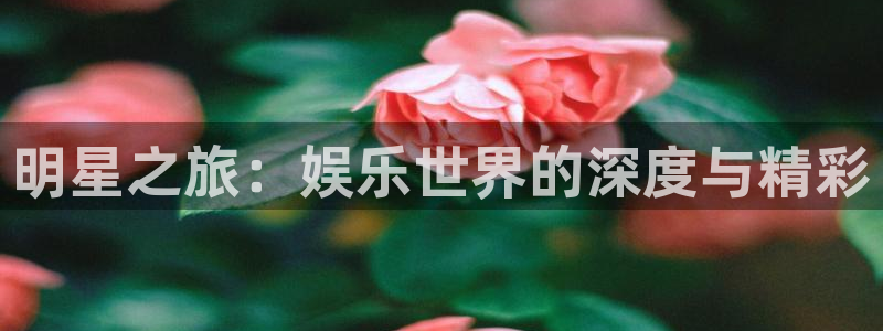 2元网：明星之旅：娱乐世界的深度与精彩