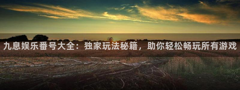 2元网河南二十二：九息娱乐番号大全：独家玩法秘籍，助你轻松畅玩所有游戏