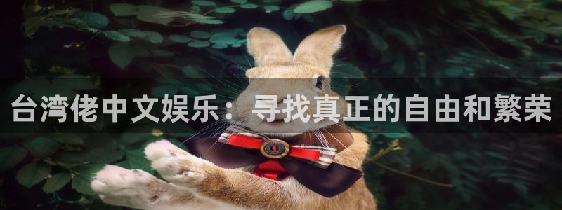 2元网河南二十二选五开奖号码：台湾佬中文娱乐：寻找真正的自由和繁荣
