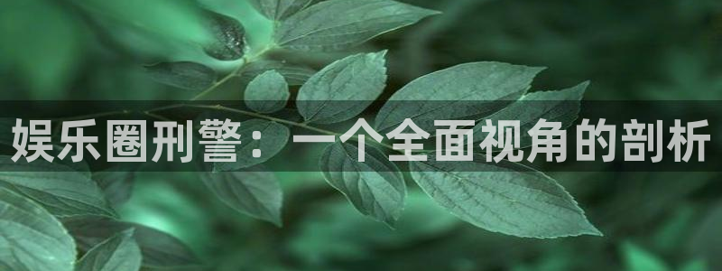 2元网走势图大全：娱乐圈刑警：一个全面视角的剖析