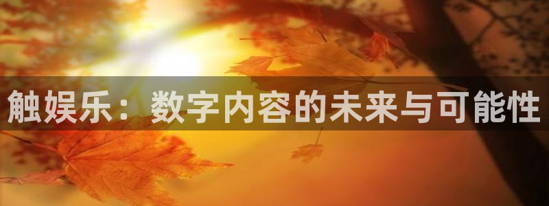 2元彩票官网：触娱乐：数字内容的未来与可能性