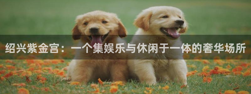 3d连线走势图2元网：绍兴紫金宫：一个集娱乐与休闲于一体的奢华场所