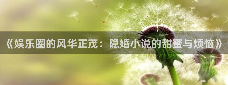 2元网走势图表：《娱乐圈的风华正茂：隐婚小说的甜蜜与烦恼》