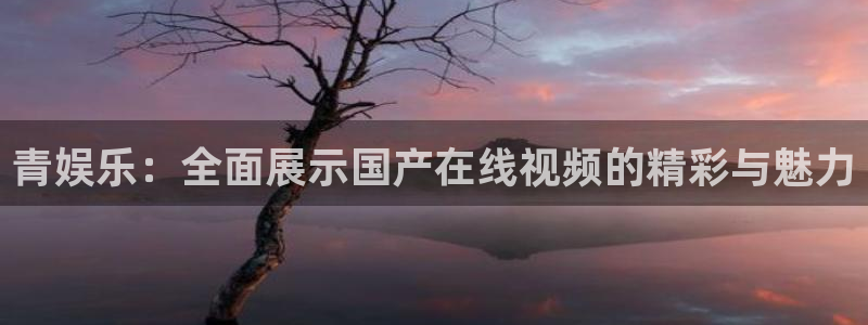 2元网走势图大全：青娱乐：全面展示国产在线视频的精彩与魅力