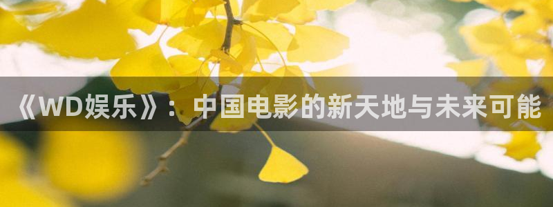 2元网走势图表：《WD娱乐》：中国电影的新天地与未来可能