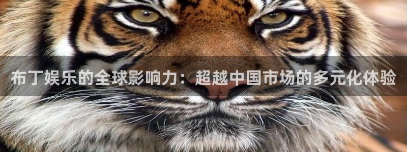 2元网河南二十二：布丁娱乐的全球影响力：超越中国市场的多元化体验