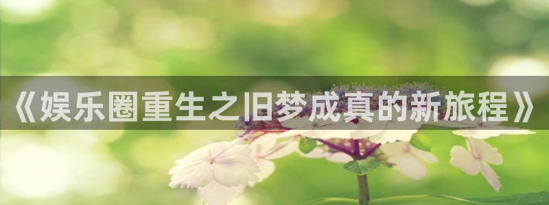 2元网走势图表：《娱乐圈重生之旧梦成真的新旅程》