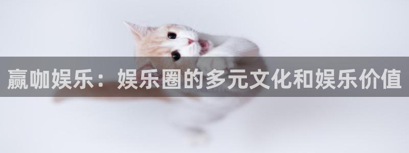 2元网河南二十二：赢咖娱乐：娱乐圈的多元文化和娱乐价值