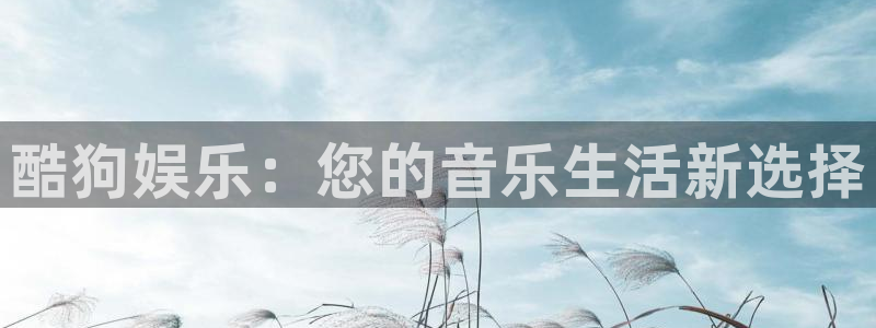2元网：酷狗娱乐：您的音乐生活新选择