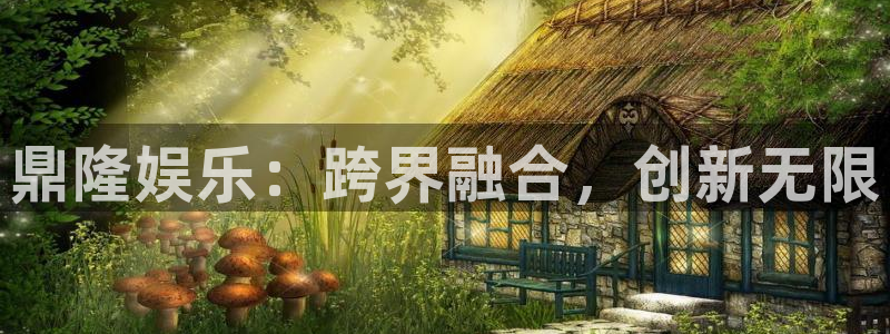2元网：鼎隆娱乐：跨界融合，创新无限