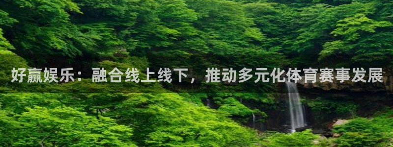 2元网走势图大全：好赢娱乐：融合线上线下，推动多元化体育赛事发展