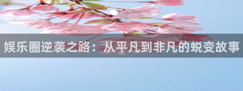 2元网河南二十二